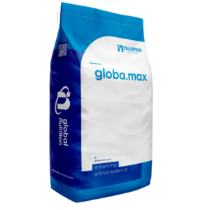 GLOBAMAX 1000