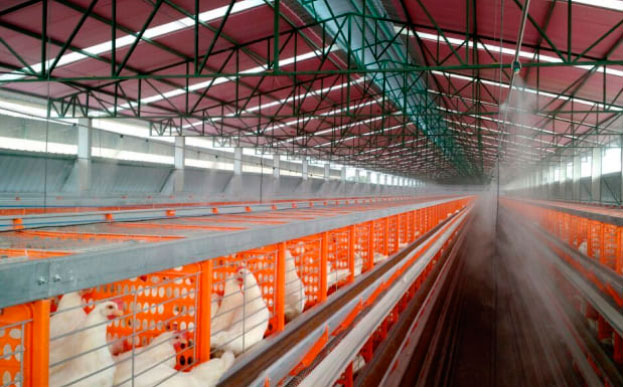 Nebulizador eléctrico Combattor